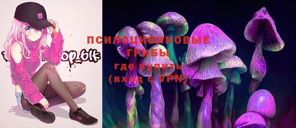 молекула духа Алексеевка