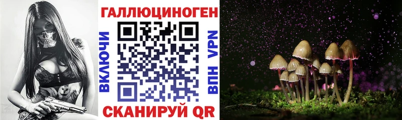 Псилоцибиновые грибы GOLDEN TEACHER Киселёвск